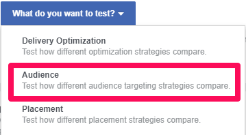 audience-based option