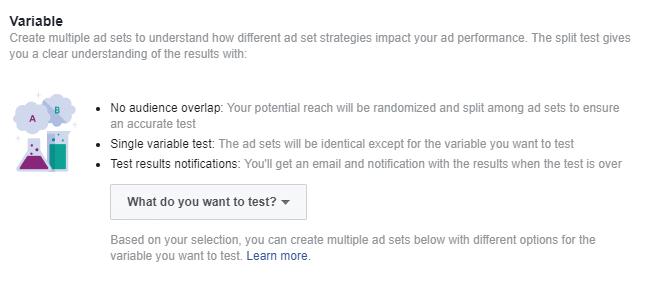 variables section