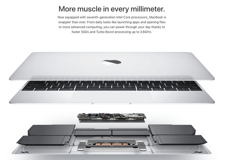 Muscle in every millimeter