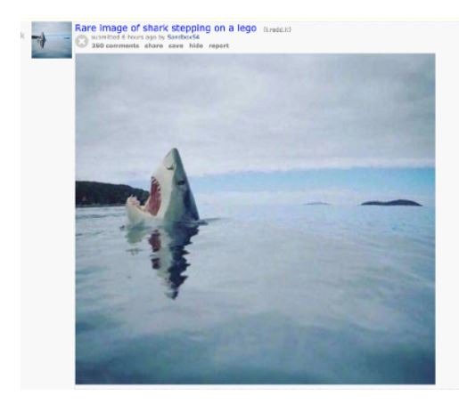 shark stepping on a lego