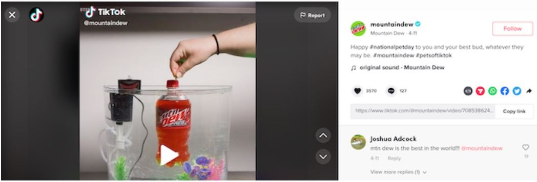 TikTok Ads How to Use Popular Hashtags Mountain Dew Ad