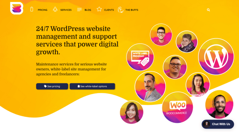 WP Buffs: Best WordPress Maintenance and Management Services